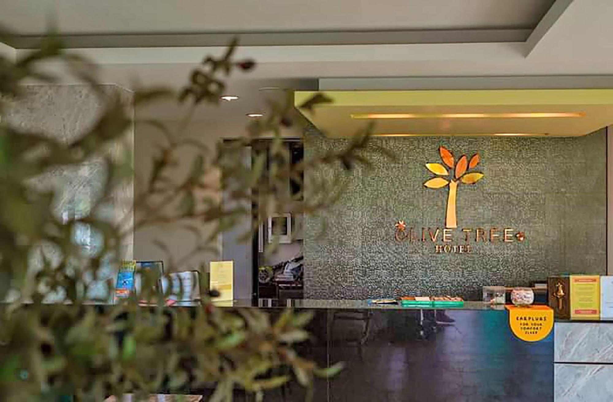 Olive Tree Hotel Pattaya Na Chom Thian Exteriör bild